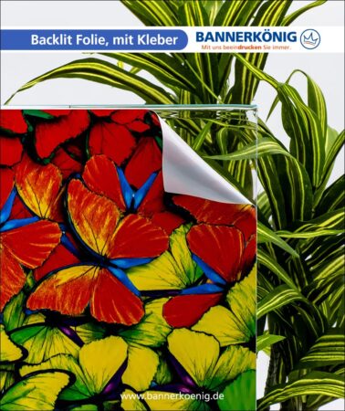 Backlit Folie, mit Kleber – Materialansicht 2