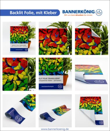 Backlit Folie, mit Kleber – Materialansicht gesamt