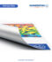 Roll-Up Folie – Materialansicht 2